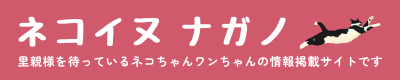 [PR]長野県の保護猫・保護犬情報サイト「ネコイヌナガノ」